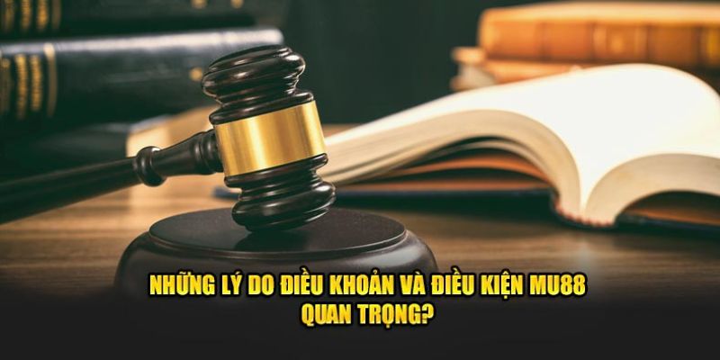 Điều Khoản Và Điều Kiện MU88 - Lợi Ích Khi Bạn Tuân Thủ 1 dieu-khoan-va-dieu-kien-mu88-1